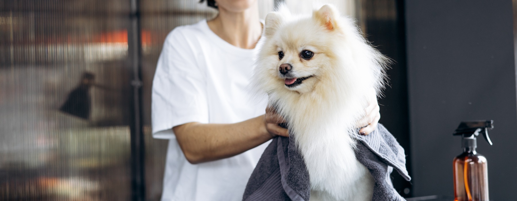 Dog enjoying life at a pet-friendly apartment