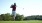 A golfer wearing a maroon shirt, white shorts, and a cap is seen from behind as they swing a club on a grassy course. Trees and a clear sky are visible in the background.