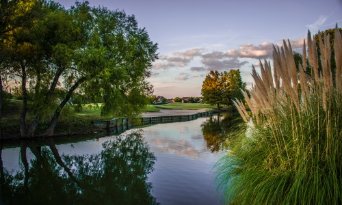 Living Near Golf Lakes in Frisco