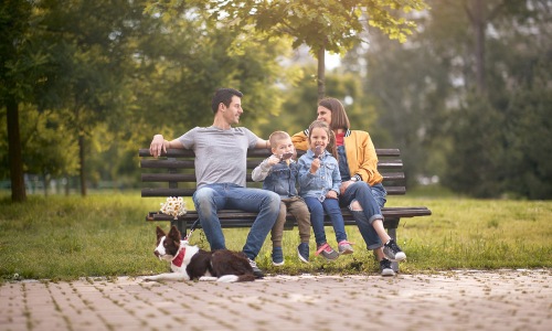 family of four and a dog at park bench